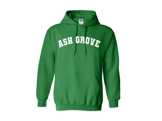 CARE TO LEARN GREEN ASH GROVE GILDAN YOUTH & UNISEX HOODIE